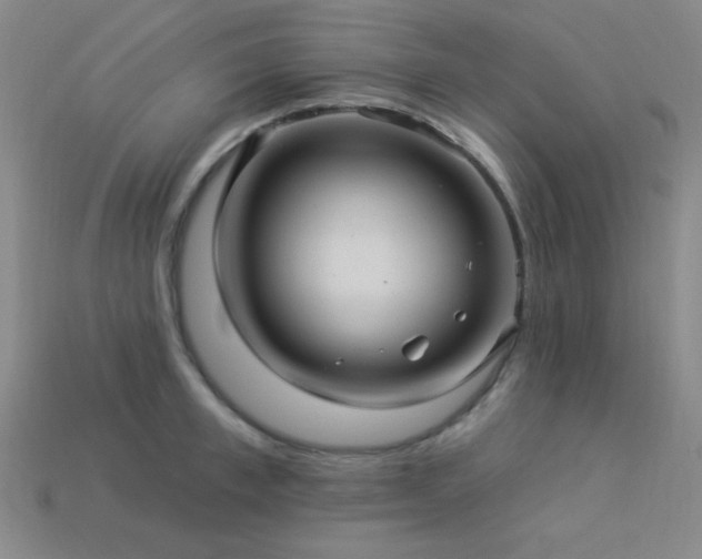 X0000114120997200910051507