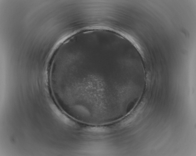 X0000114120998200910051507