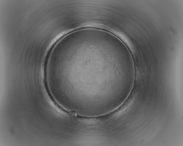 X0000114120999200910051507