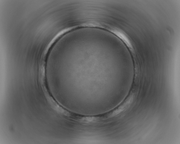 X0000114121000200910051507