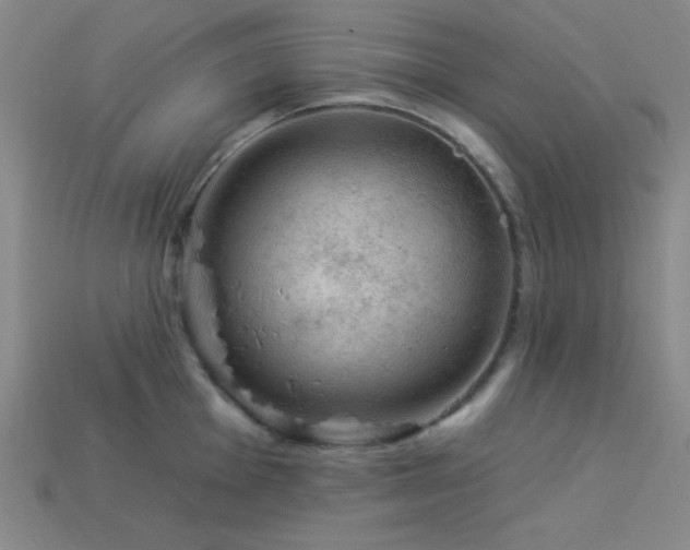X0000114121001200910051507