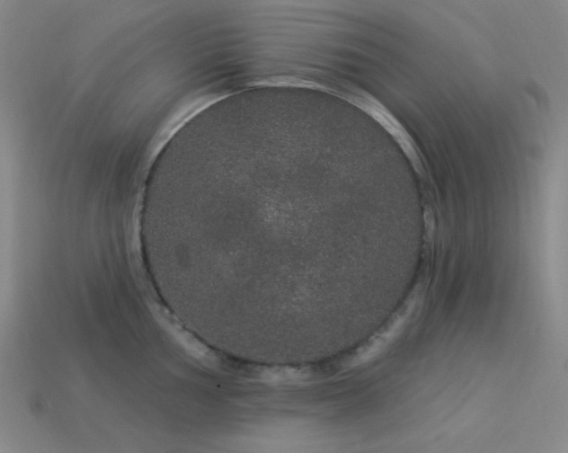X0000114121002200910051507