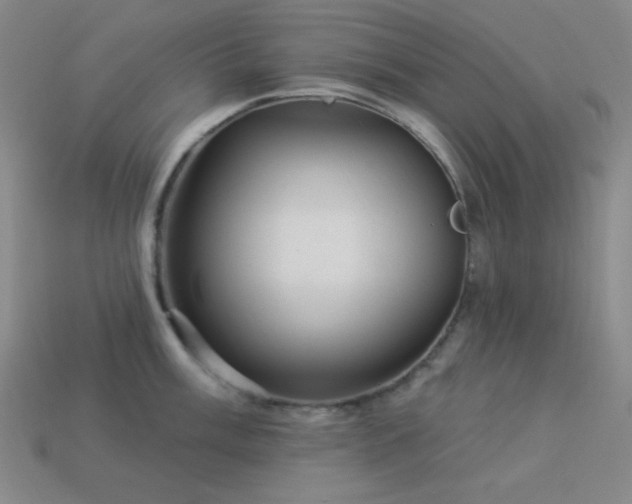 X0000114121003200910051507