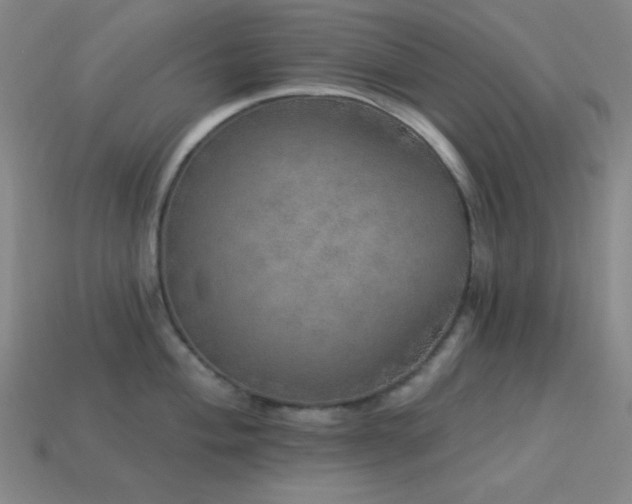 X0000114121004200910051507