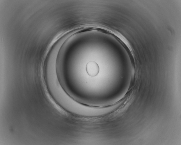 X0000114121005200910051507