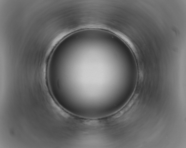 X0000114121006200910051507