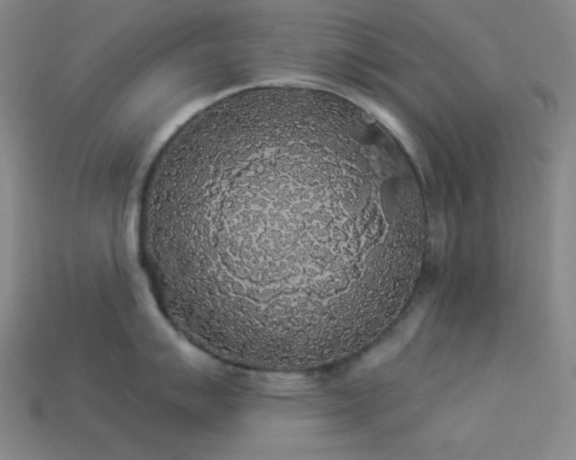 X0000114121007200910051507