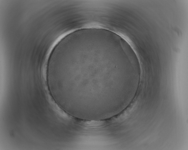 X0000114121008200910051507