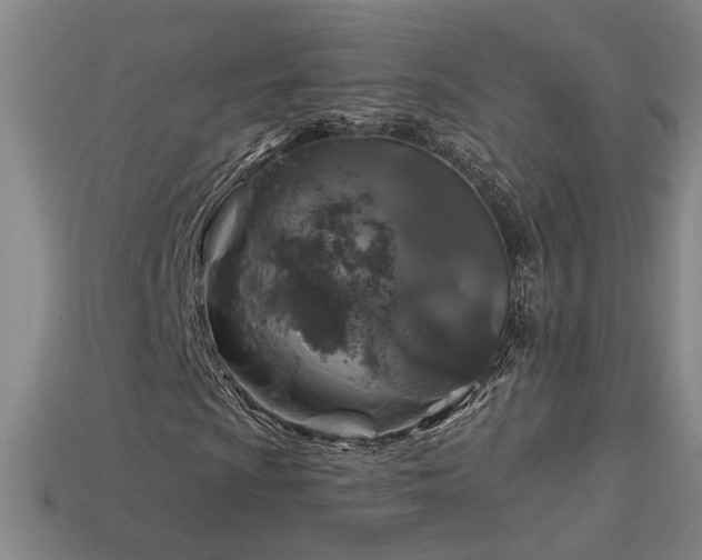 X0000114121009200910051506