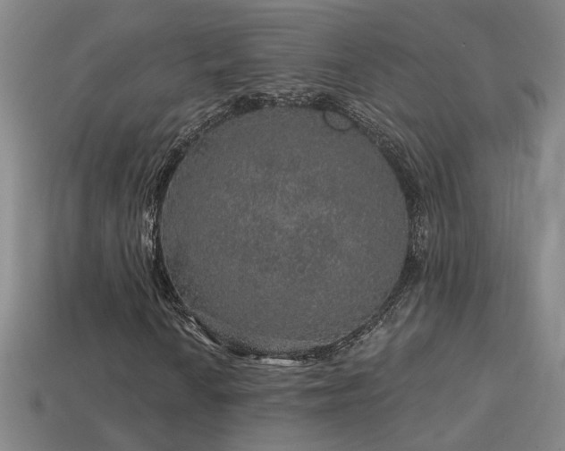 X0000114121010200910051506