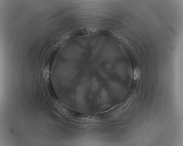 X0000114121011200910051506