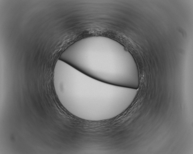 X0000114121012200910051506