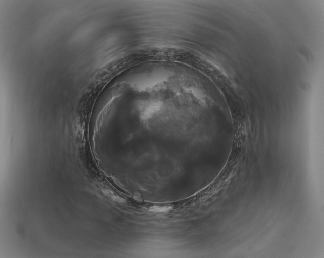 X0000114121013200910051506