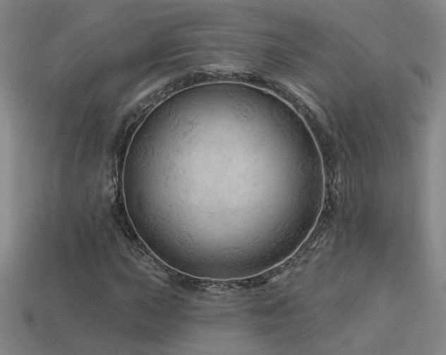 X0000114121015200910051506