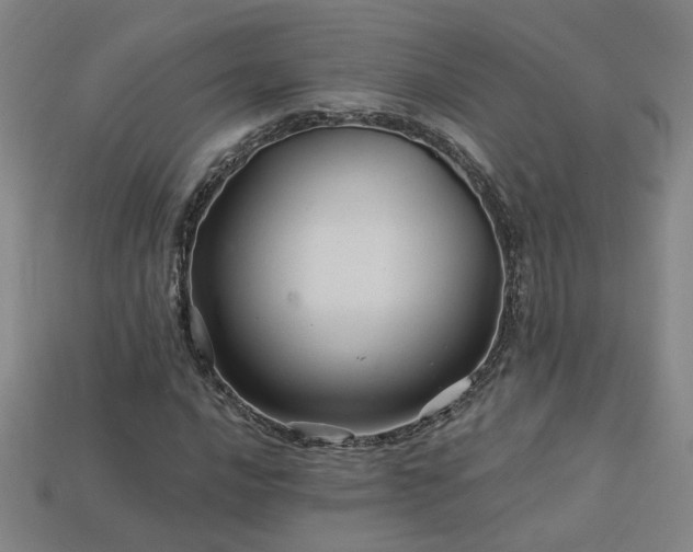 X0000114121016200910051506