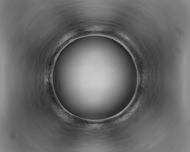 X0000114121017200910051506