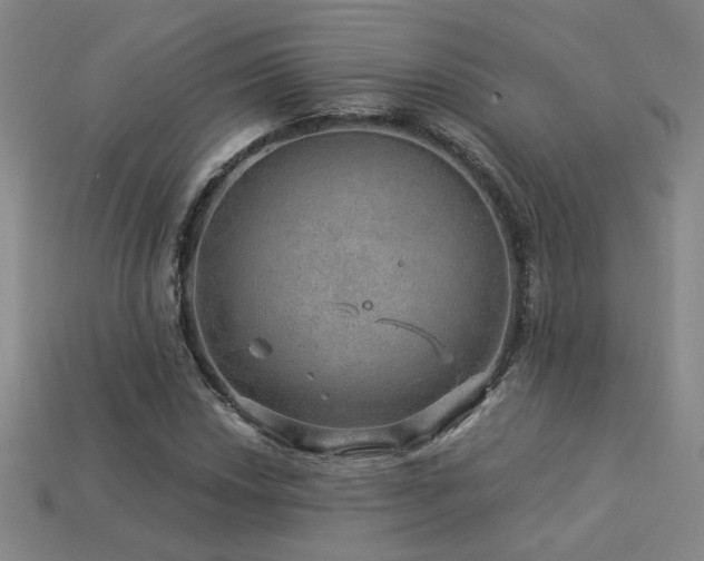 X0000114121018200910051506