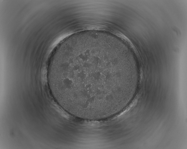 X0000114121019200910051506