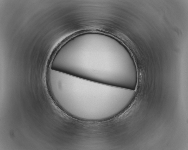 X0000114121020200910051506