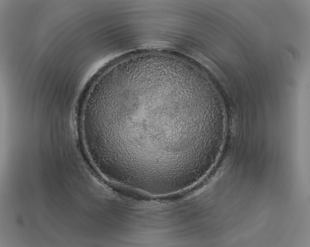X0000114121022200910051506