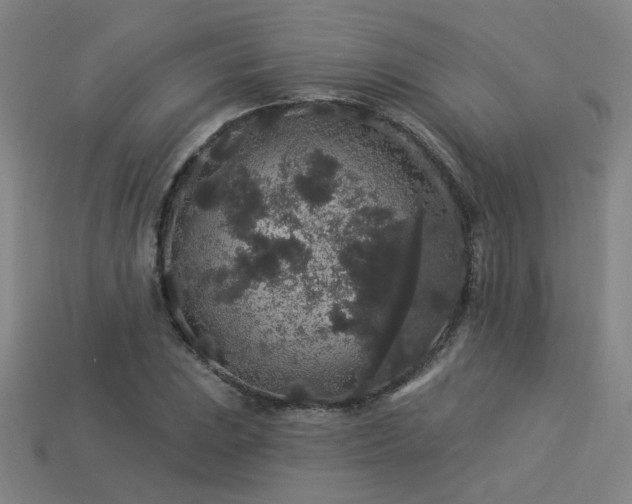 X0000114121023200910051506