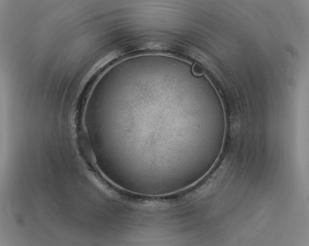 X0000114121026200910051506