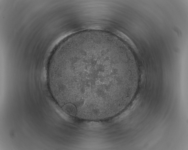 X0000114121027200910051507