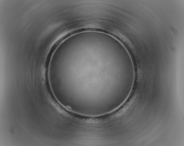X0000114121029200910051507