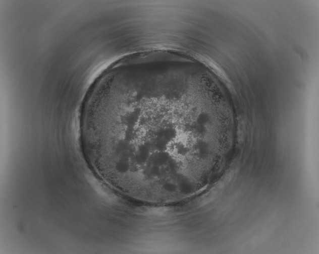 X0000114121031200910051507