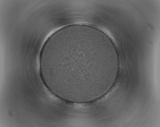 X0000114121032200910051507