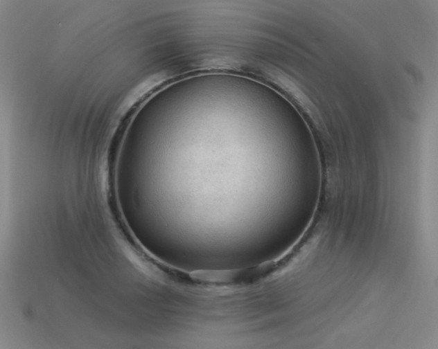 X0000114121034200910051507