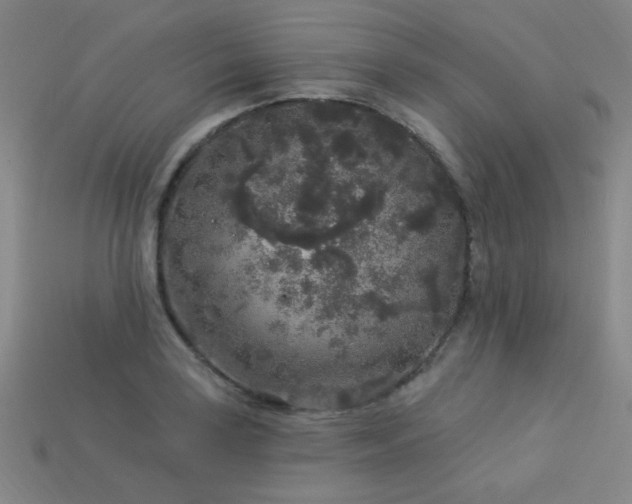 X0000114121035200910051507