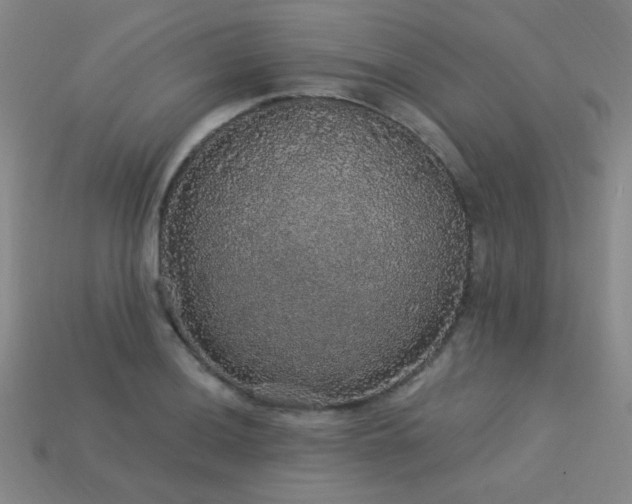 X0000114121036200910051507