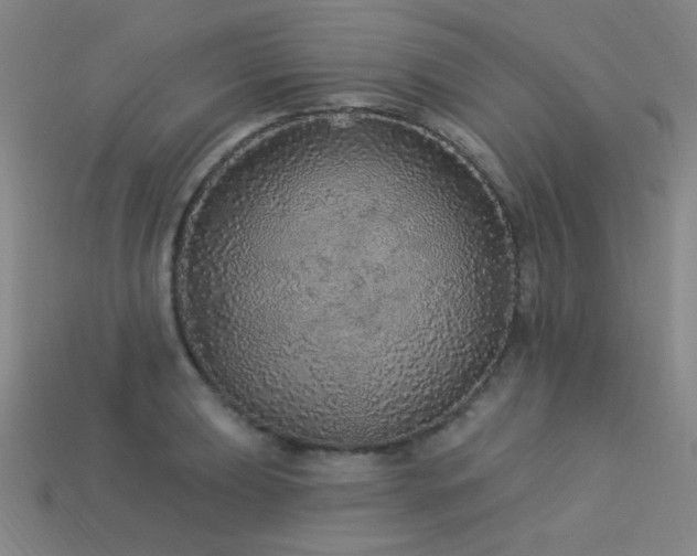 X0000114121039200910051507