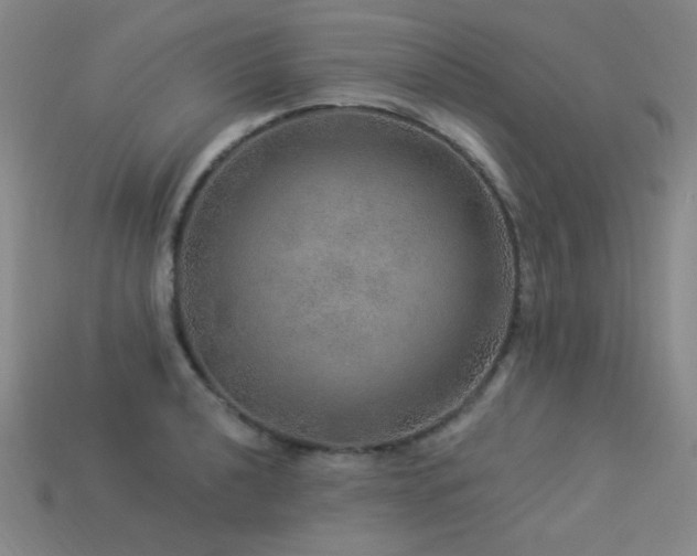 X0000114121040200910051507