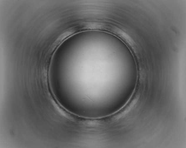 X0000114121041200910051507