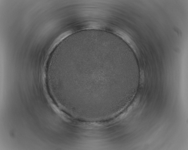 X0000114121042200910051507