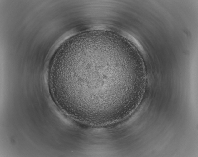 X0000114121043200910051507