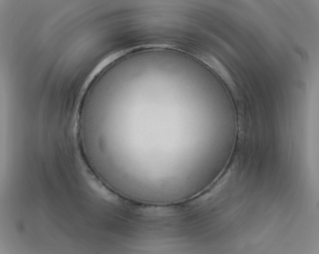 X0000114121044200910051507