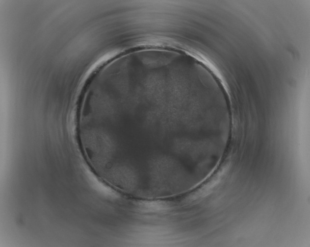X0000114121045200910051507