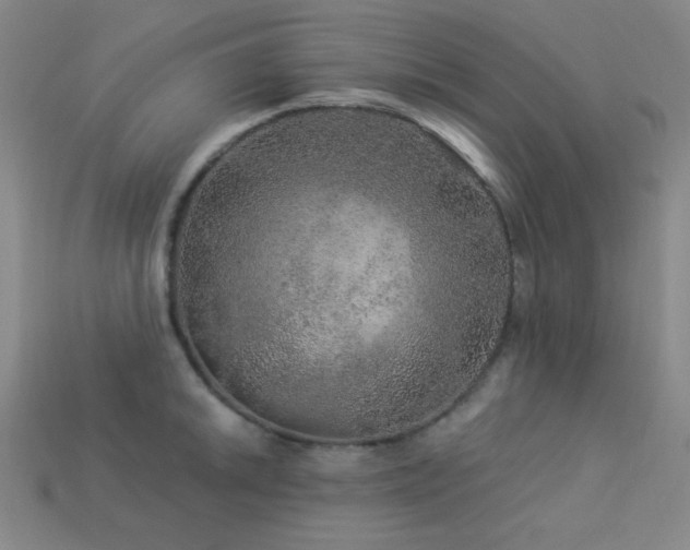 X0000114121046200910051507