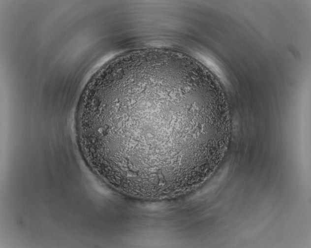 X0000114121047200910051507