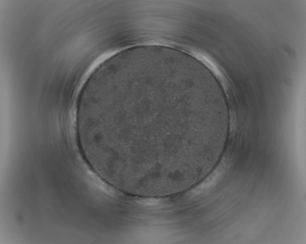 X0000114121048200910051507