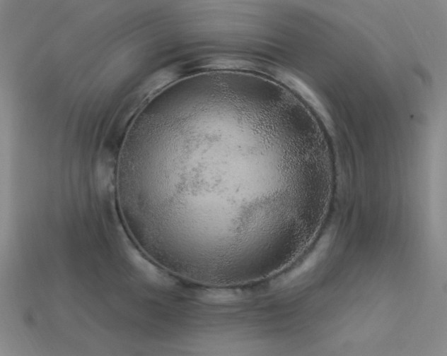 X0000114121049200910051507