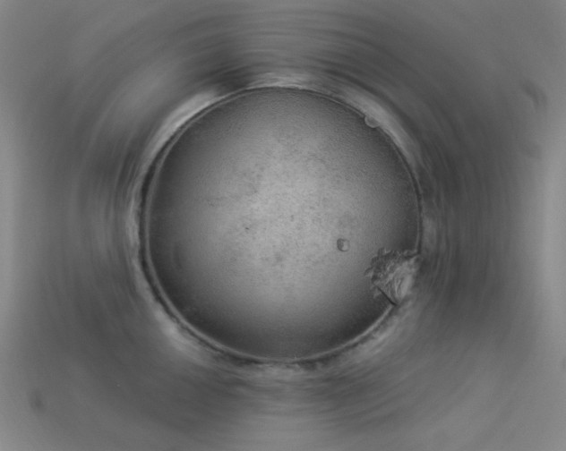 X0000114121050200910051507