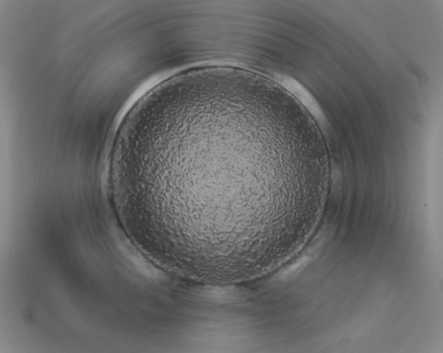 X0000114121052200910051507