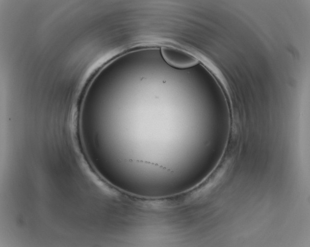 X0000114121053200910051507