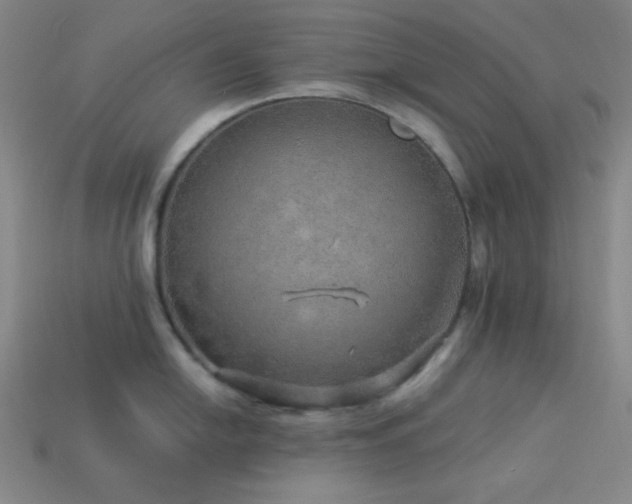 X0000114121054200910051507