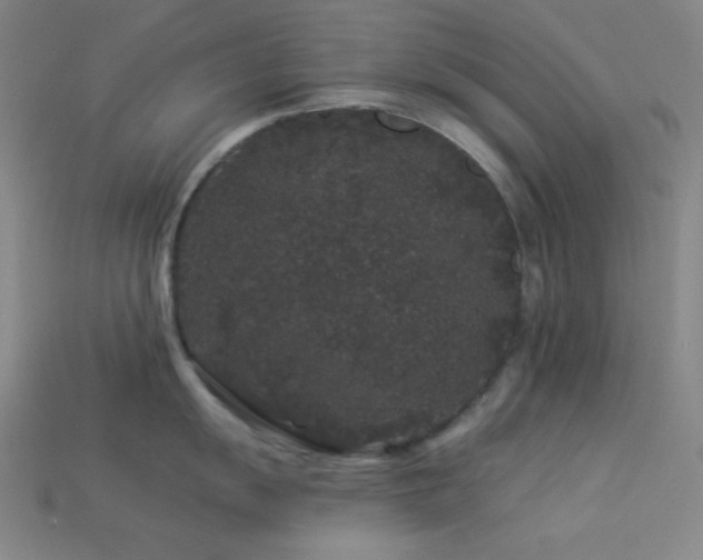 X0000114121055200910051507