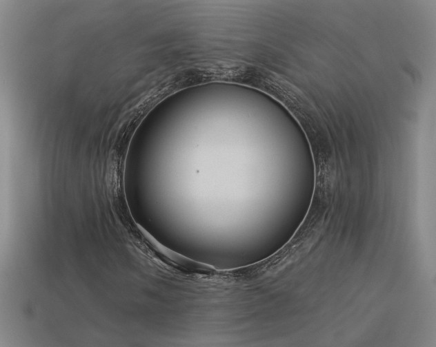 X0000114121058200910051506